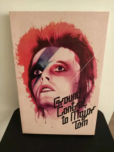 Cuadro Decorativo Bowie - miniatura 1