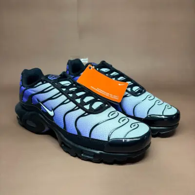Nike Air Max Plus Tn Gradiente Azul - miniatura 1