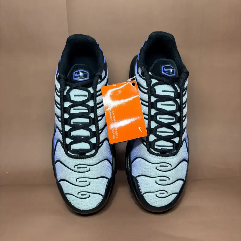 Nike Air Max Plus Tn Gradiente Azul - 5