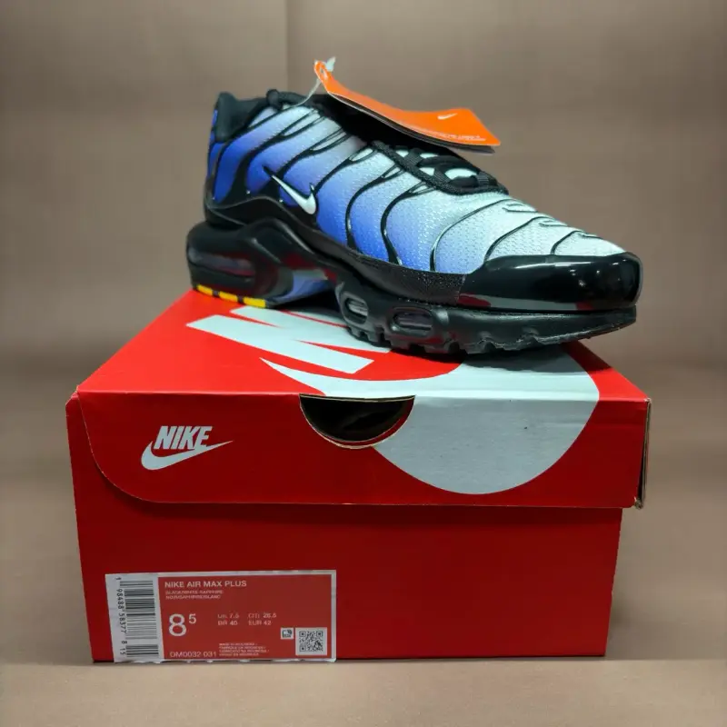 Nike Air Max Plus Tn Gradiente Azul - 6