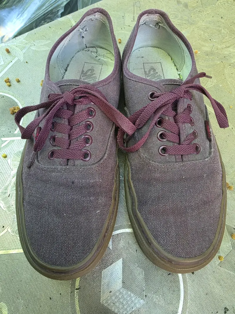 Zapatillas Vans burdeos de lona usadas - 2
