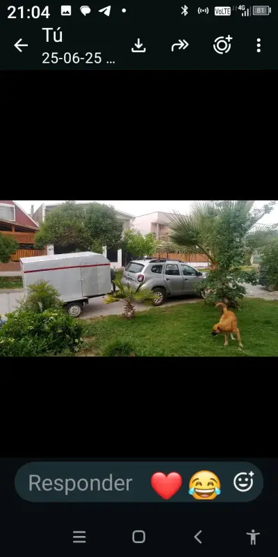 Carro de arrastre cerrado con rueda de repuesto - miniatura 3