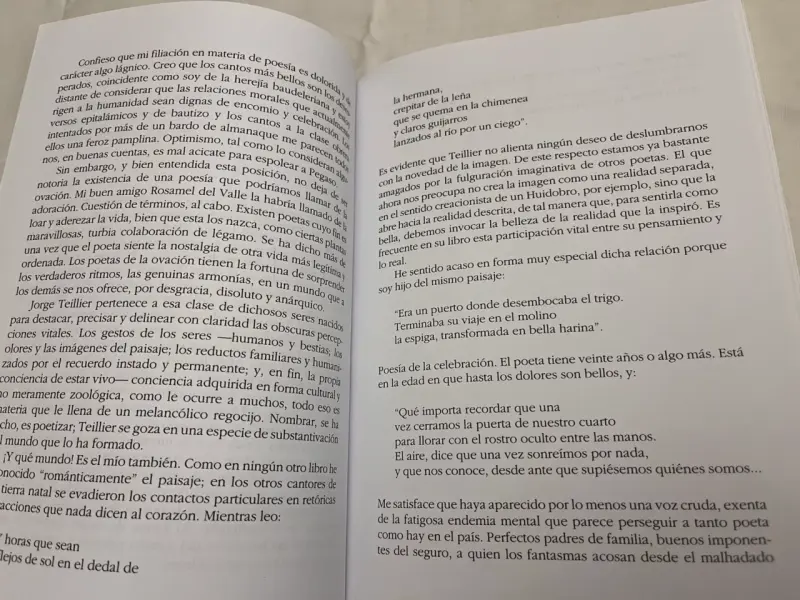 Libro 'Para Ángeles y Gorriones' de Jorge Teillier - 5