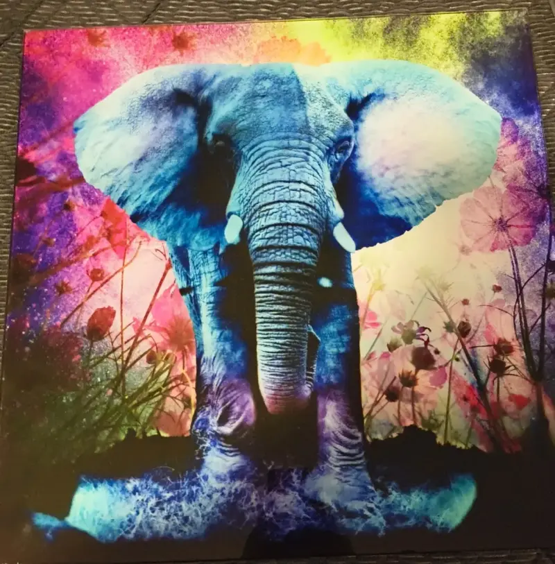 Cuadro Decorativo Elefante Multicolor