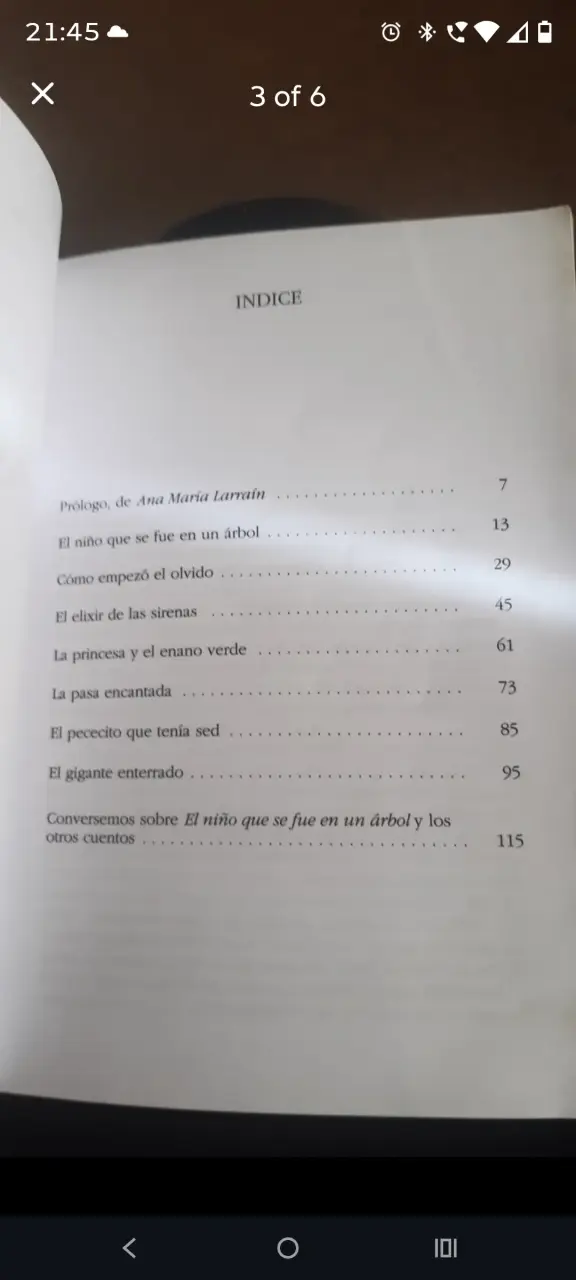 'El Niño Que Se Fue En Un Árbol' - Jacqueline B. - 3