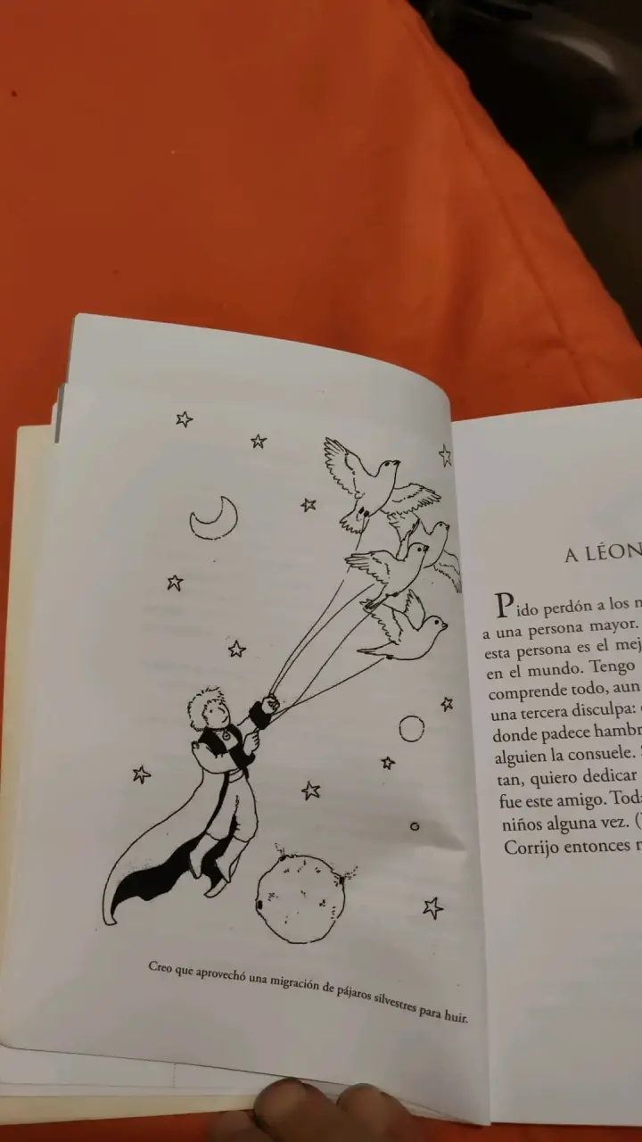 El Principito de Antoine de Saint-Exupéry - 4