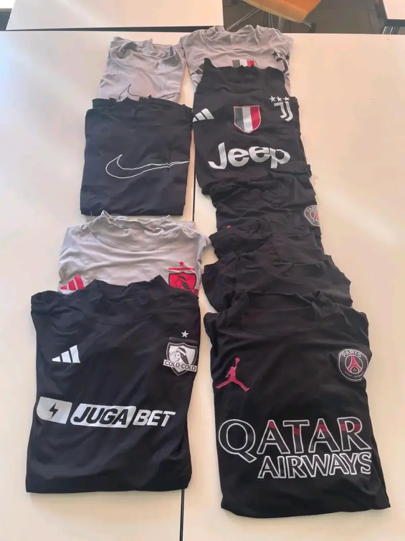 Lote de Poleras Manga Larga Variadas - 2