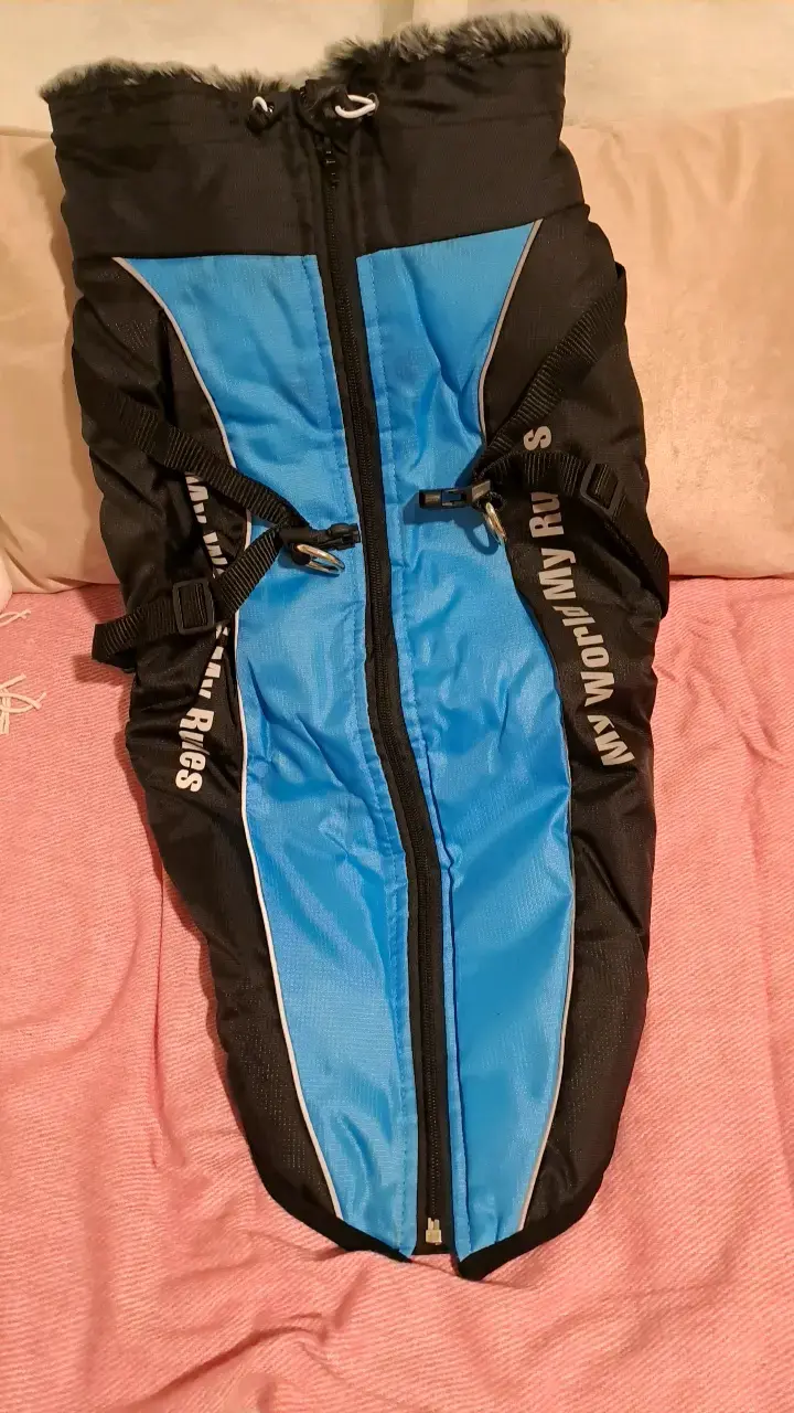 Chaqueta de invierno para perro azul y negro - 1