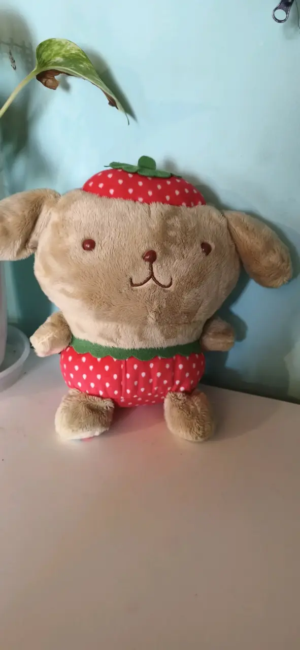 Peluche pompompurin