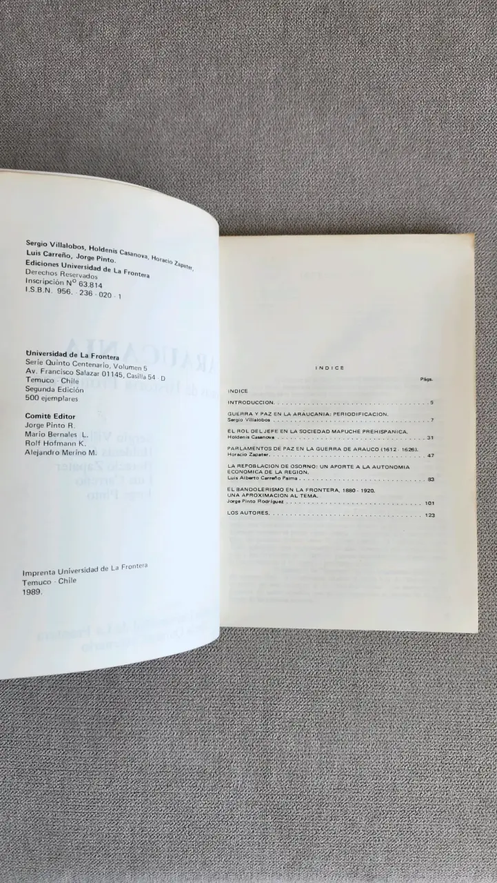 Libro Araucanía Temas de Historia Fronteriza - 4