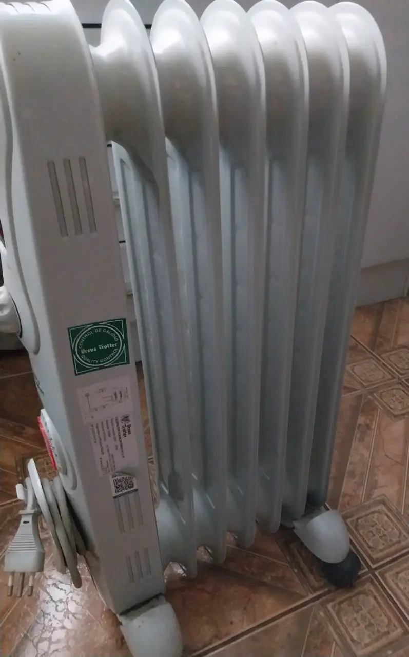 Calefactor eléctrico Ursus Trotter con termostato - 2