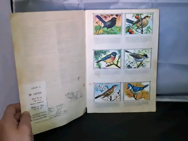 Álbum de colección El Mundo de las Aves completo - 2