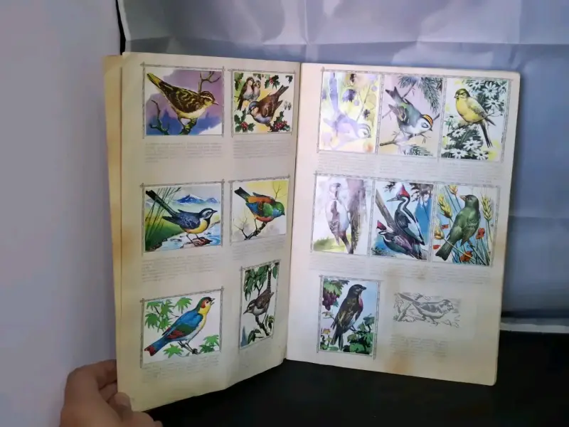 Álbum de colección El Mundo de las Aves completo - 3