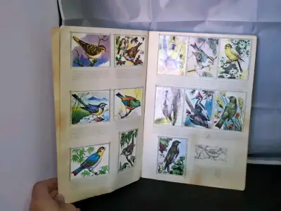 Álbum de colección El Mundo de las Aves completo - miniatura 3