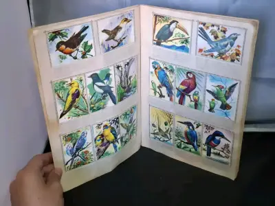 Álbum de colección El Mundo de las Aves completo - miniatura 4