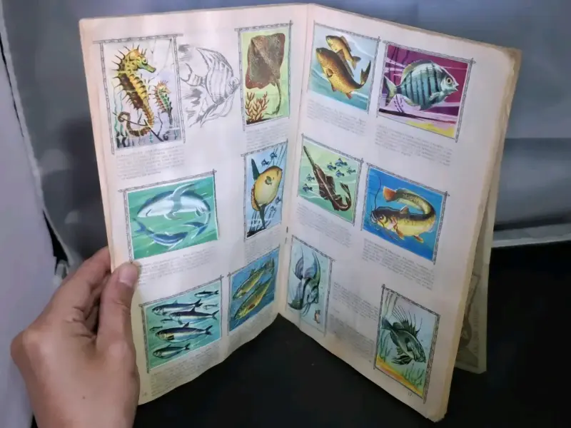Álbum de colección El Mundo de las Aves completo - 5