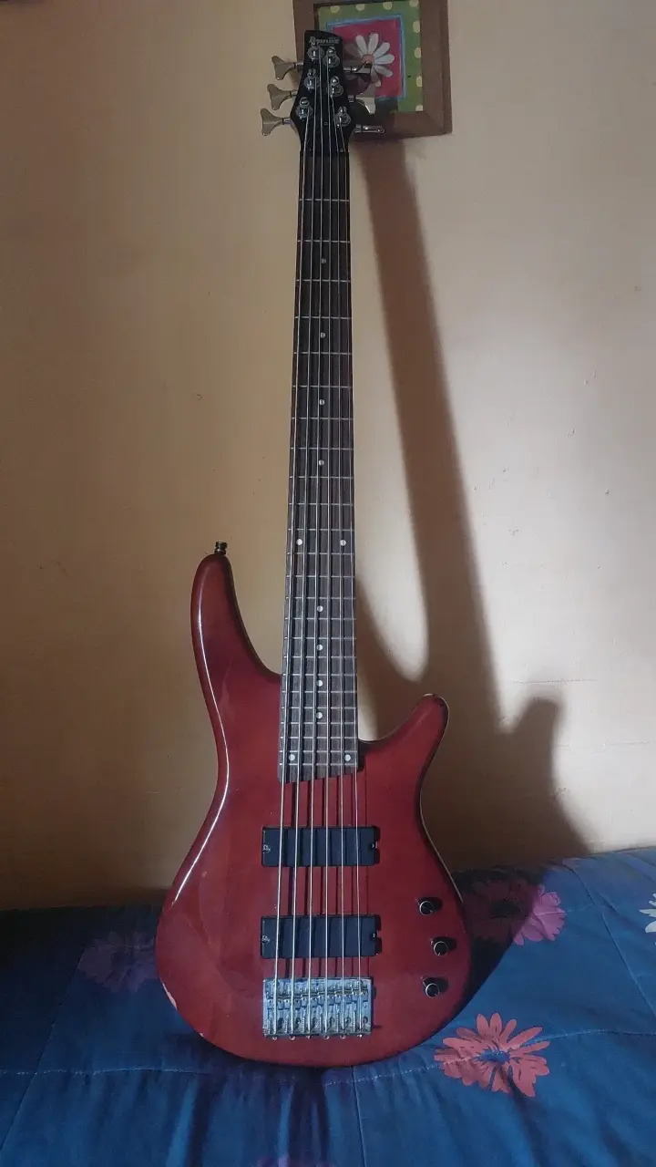 Bajo electrico 6 cuerdas ibanez - 2