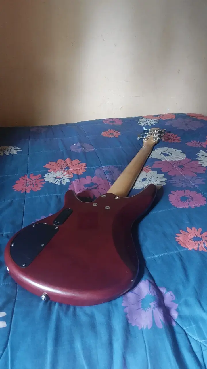 Bajo electrico 6 cuerdas ibanez - 3