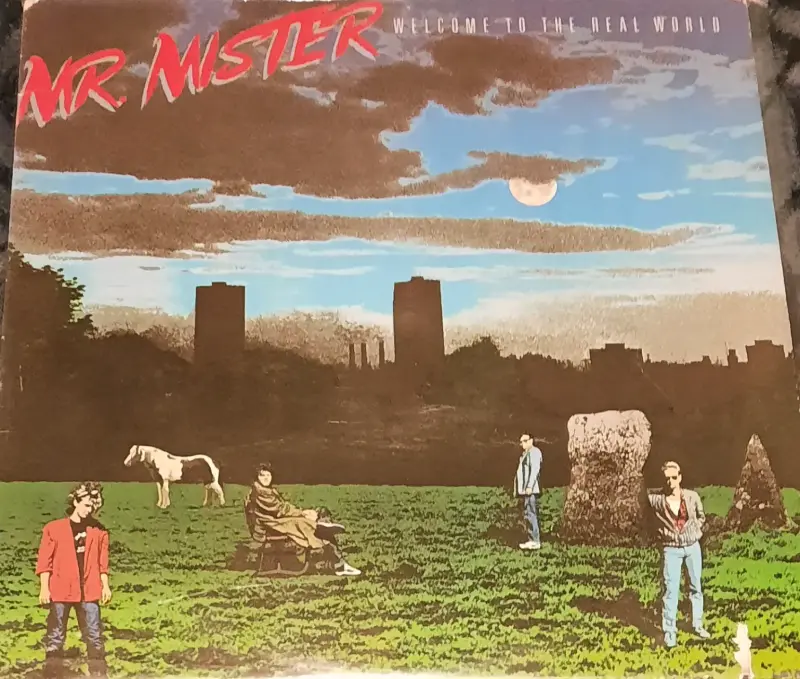 Vinilos de música pop y rock clásicos - 5