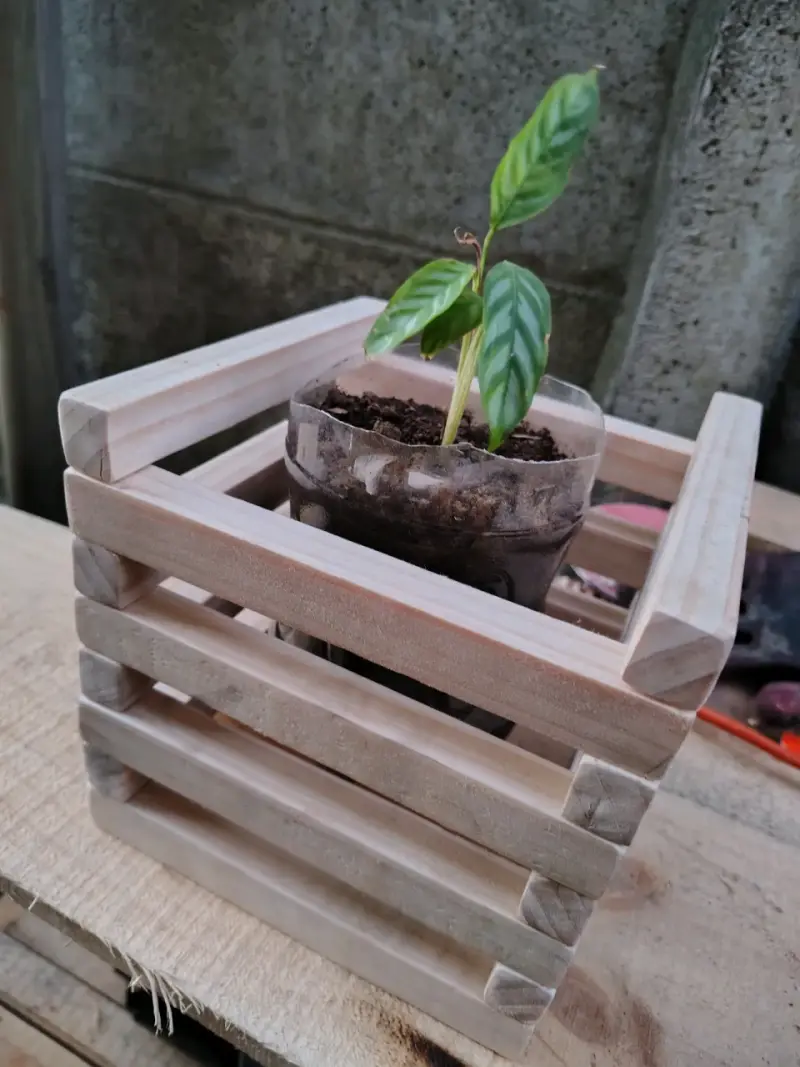 Macetero de madera para plantas - 3