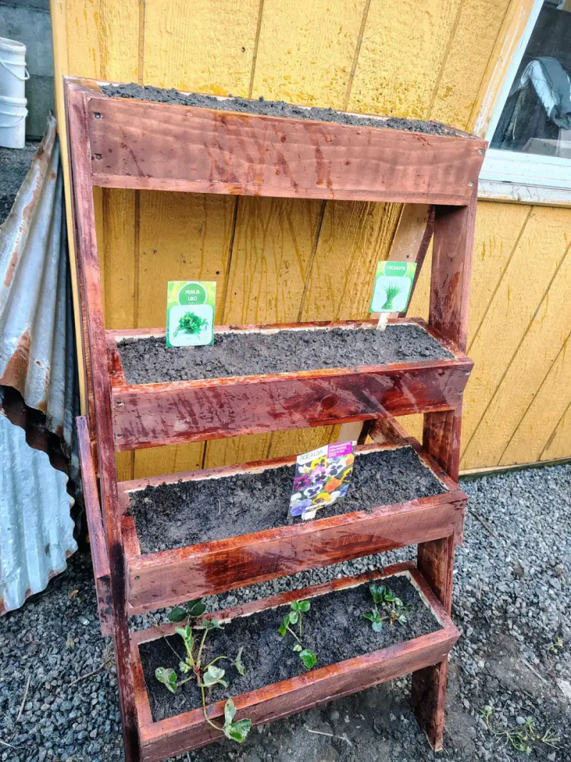Macetero de madera para plantas - 5