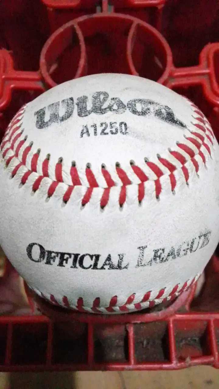 Pelota de béisbol Wilson A1250 Oficial - 1