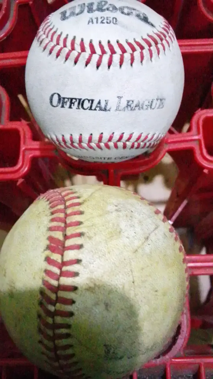 Pelota de béisbol Wilson A1250 Oficial - 2