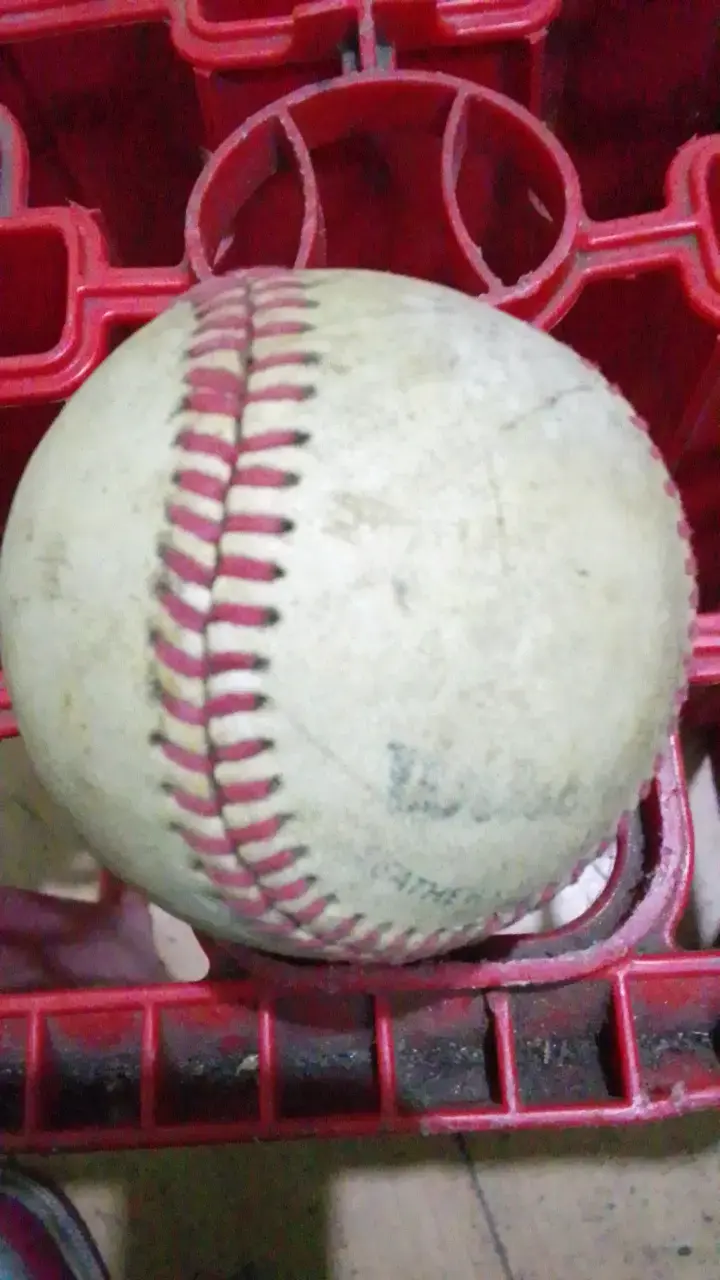 Pelota de béisbol Wilson A1250 Oficial - 3