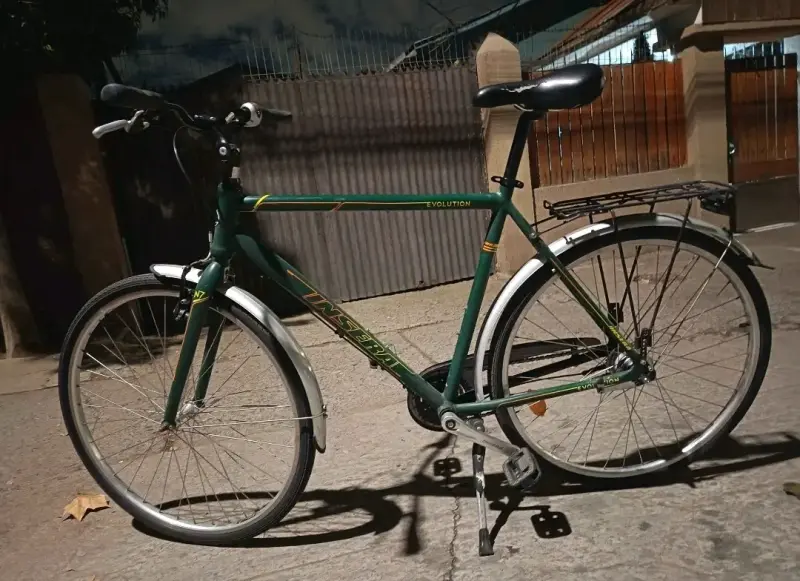 Bicicleta urbana verde Insera Evolution - 4