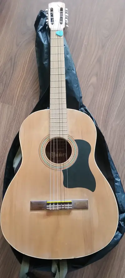 Guitarra electroacústica antigua con funda - miniatura 1