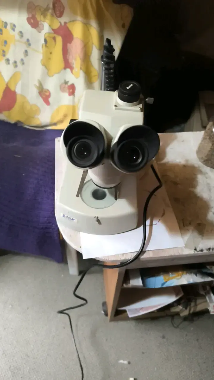 Microscopio binocular con iluminación ajustable - 5