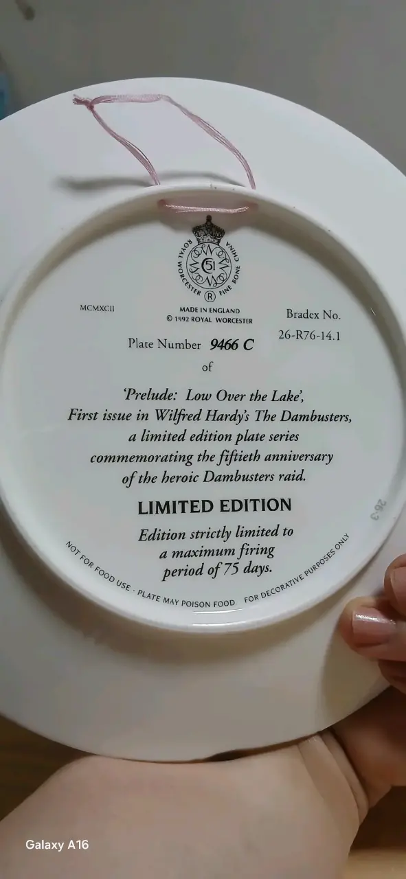 Plato Edición Limitada 'Low Over the Lake' - 4