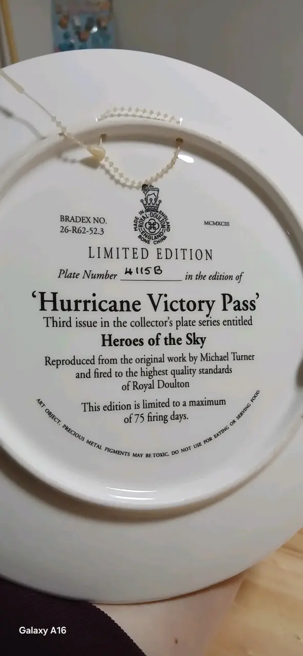 Plato Edición Limitada 'Hurricane Victory Pass' - 5