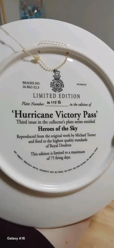 Plato Edición Limitada 'Hurricane Victory Pass' - miniatura 5