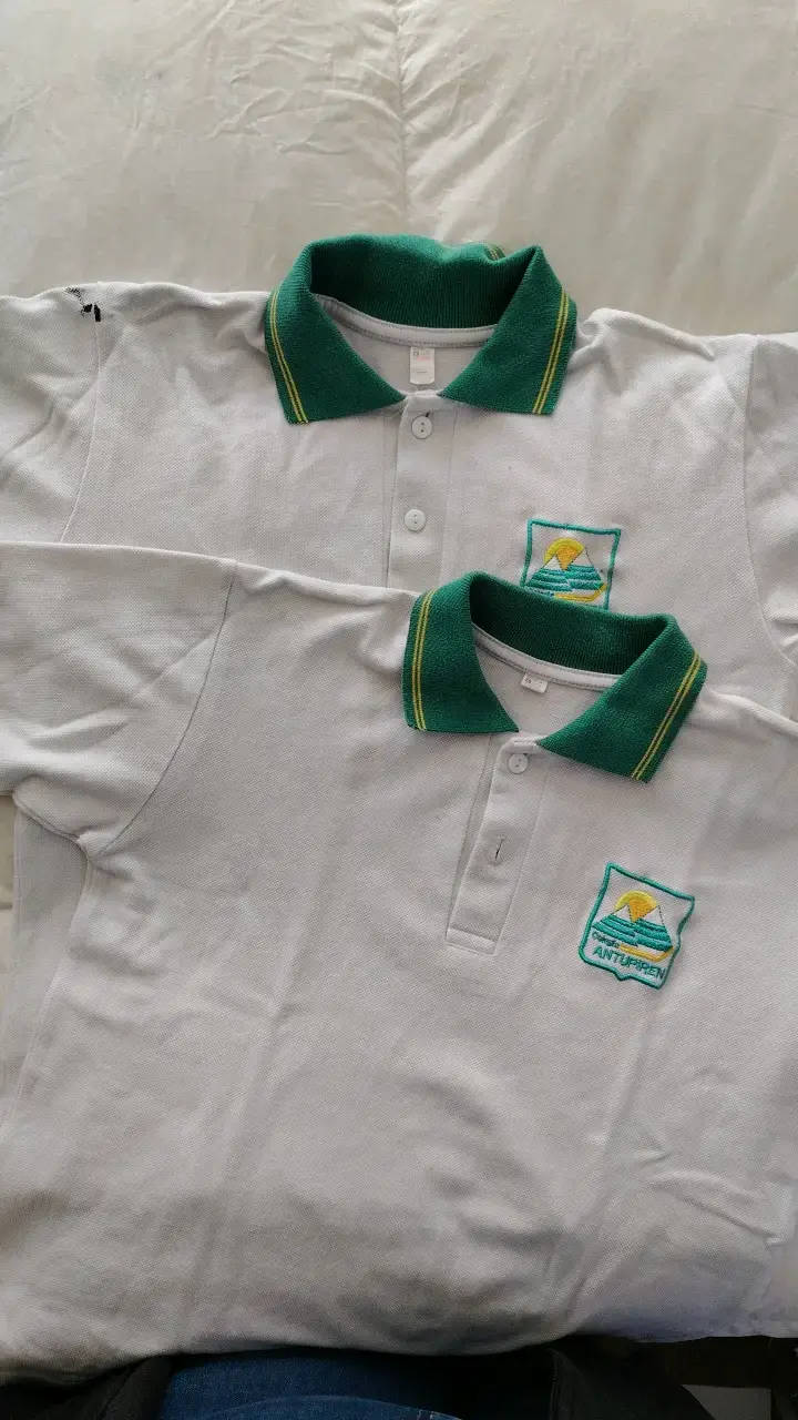 Poleras tipo polo blancas colegio Antupiren