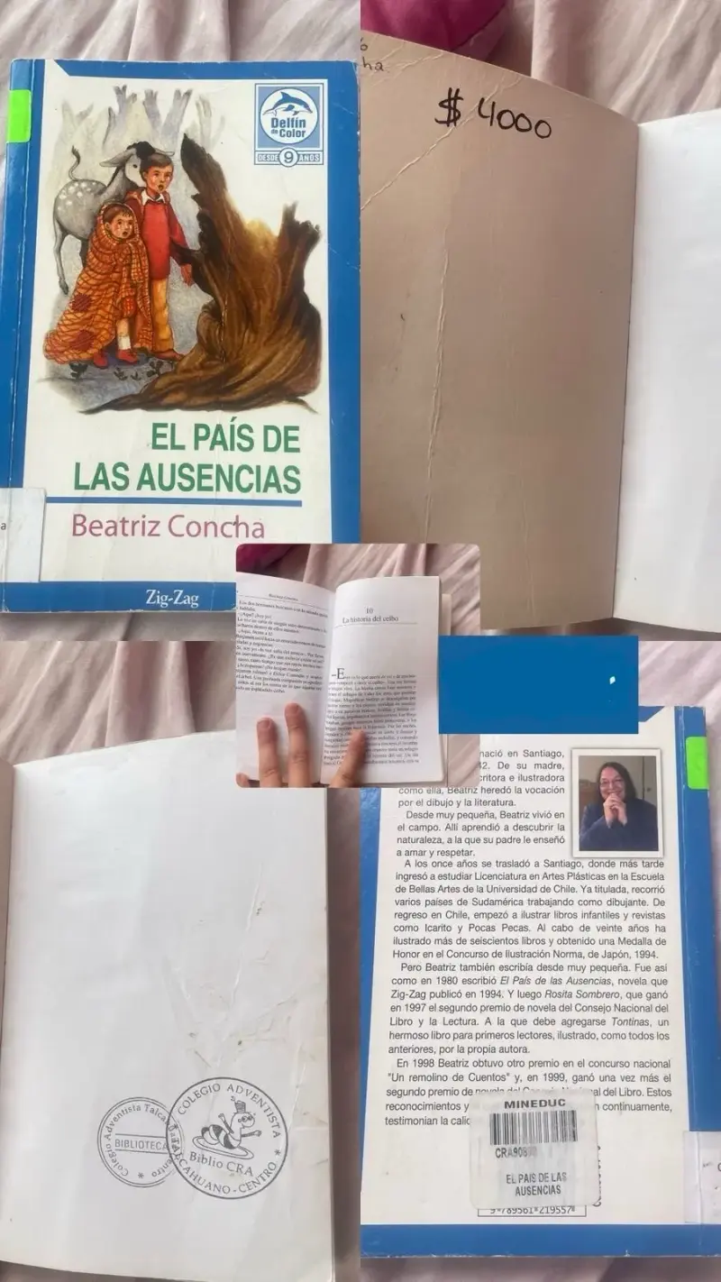 Lote de libros infantiles Zig-Zag usados - 3