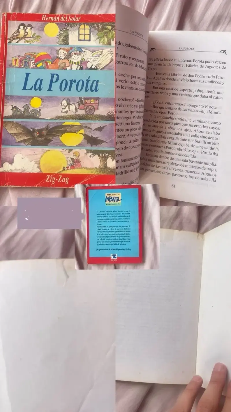 Lote de libros infantiles Zig-Zag usados - 4