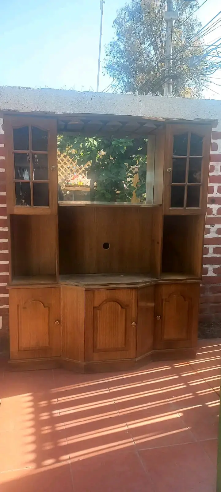 Mueble de madera para TV con vitrinas - 1