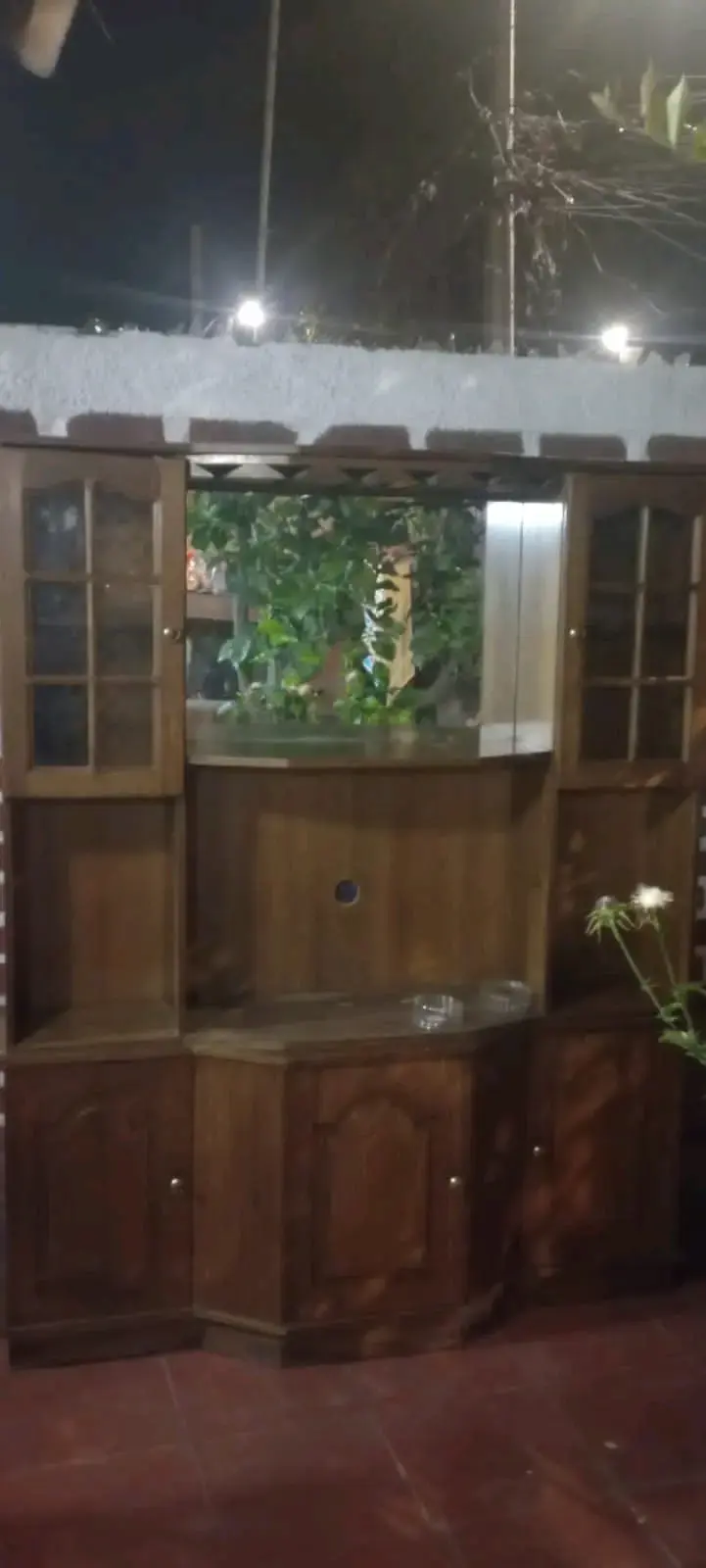 Mueble de madera para TV con vitrinas - 2