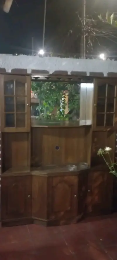 Mueble de madera para TV con vitrinas - miniatura 2