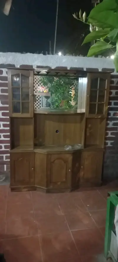 Mueble de madera para TV con vitrinas - miniatura 3