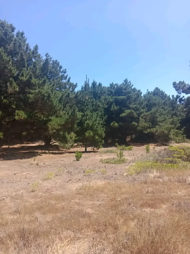 Terreno 500m²