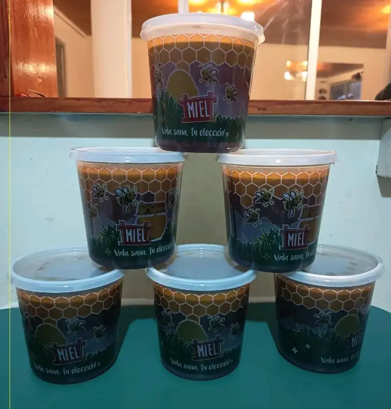 Miel natural en envase de 1 kg
