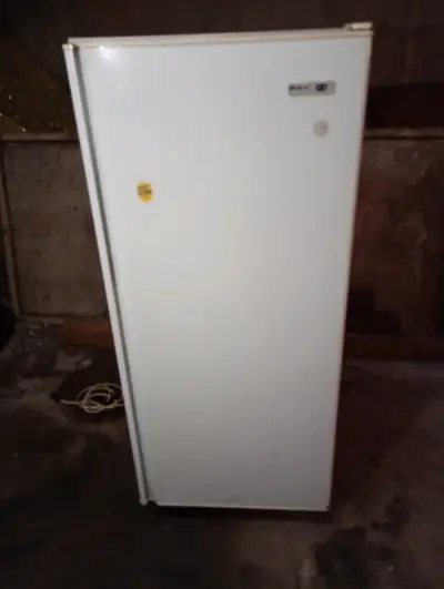 Refrigerador vertical blanco en buen estado - miniatura 3