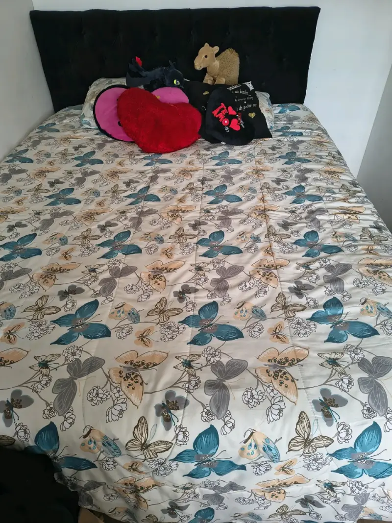 Cama 2 Plazas con Respaldo y Base Tapizada - 2