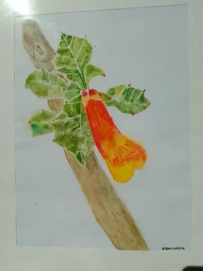 Cuadro Acuarela de Flor Taique - miniatura 2