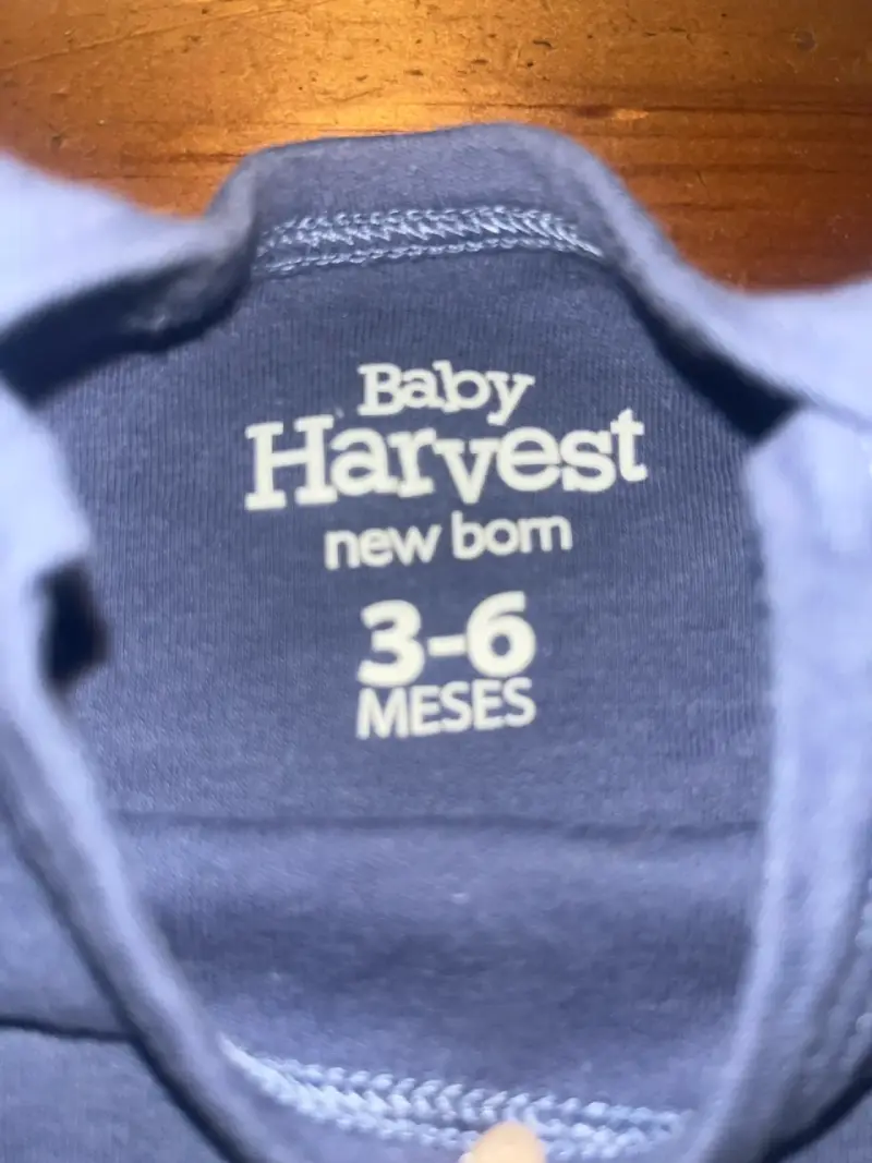Body de bebé azul Baby Harvest 3-6 meses - 2