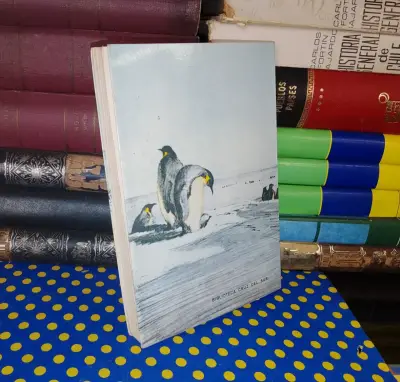 Pequeña Historia Antártica -Armando Braun Menéndez - miniatura 2
