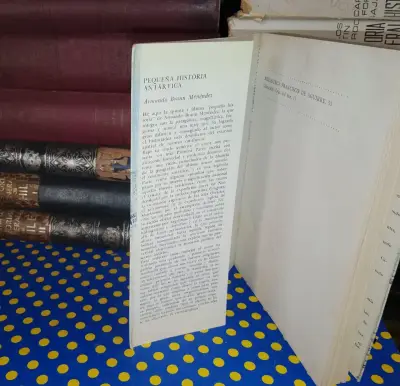 Pequeña Historia Antártica -Armando Braun Menéndez - miniatura 3