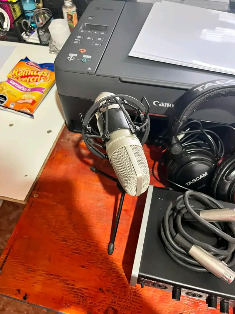 Interfaz de Audio Tascam US-2x2 con Micrófono y Audífonos - 5